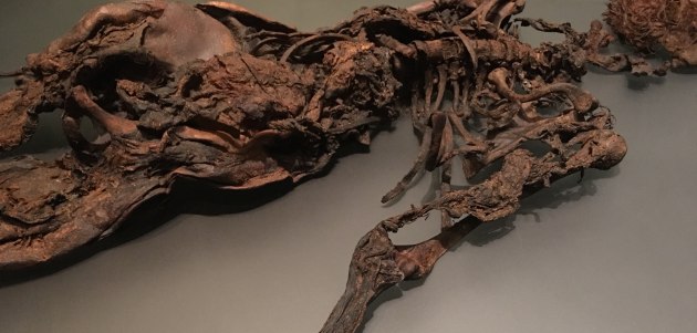 Baronstown West Man, found in County Kildare