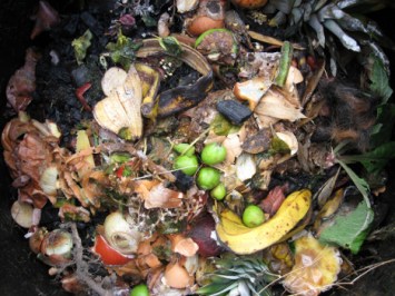 food-waste-compost